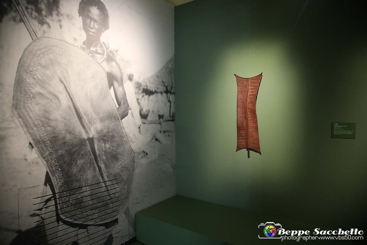 VBS_5328 - Africa - Le collezioni dimenticate.jpg